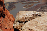 The Colorado River...too thick to drink, too thin to plow.