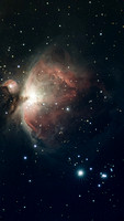 M42