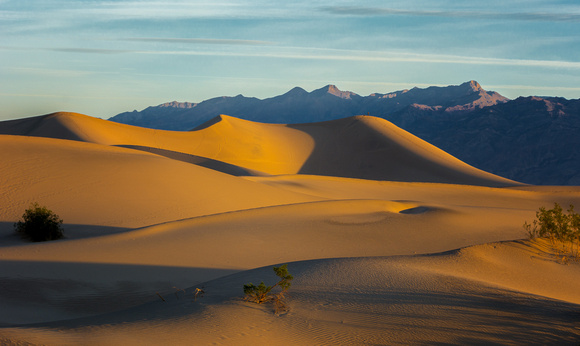 Mesquite Sand Dunes