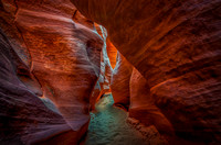 Little Wild Horse Canyon